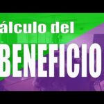 Ingresos Anuales Brutos de Tu Empresa ¿Cuál es el Monto?