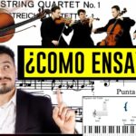 Instrumentos que integran un cuarteto de cuerda: violín, viola, violonchelo y contrabajo