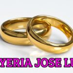 Joyas únicas y elegantes: Descubre la colección de anillos de plata José Luis