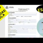 Jura de nacionalidad española Hoja declaratoria de datos explicada