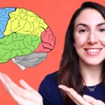 La cisura que divide los lóbulos frontal y parietal