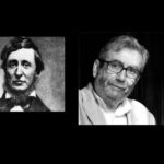 La Edad de la Ignorancia Reflexiones sobre la cultura y sociedad actual