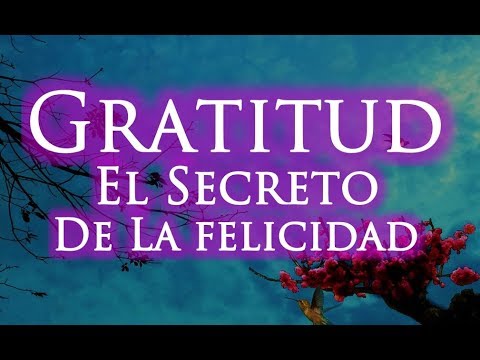 La importancia de la gratitud en la vida diaria - Tras Tucada