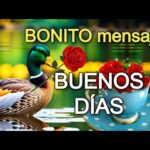 Las mejores estampas de buenos días para empezar tu día