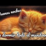 Las mejores imágenes de buenas noches gratis para móvil