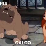 Las razas de perros en La Dama y el Vagabundo descúbrelas aquí