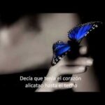 Letras de Marea la luna me sabe a poco ¡Descúbrelas aquí!