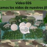 Los árboles preferidos por los jilgueros para hacer sus nidos
