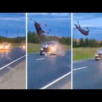 Los lugares más peligrosos por distracción al volante
