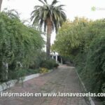 Los mejores alojamientos en Cazalla de la Sierra: ¡Descubre dónde hospedarte!