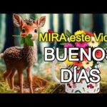Los mejores consejos para tener un buen día desde temprano