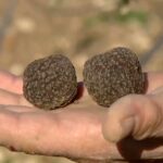 Los mejores lugares para comer en Torres Jaén: ¡Descubre los sabores de la región!