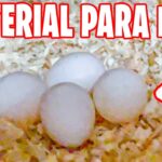 Los mejores materiales para el cuidado del nido de periquitos