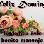 Los mejores mensajes de buenos días para compartir en WhatsApp