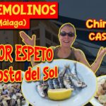 Los mejores sitios para comer en Torremolinos: una guía imprescindible