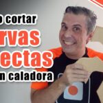 Mejores hojas de sierra de calar para cortes curvos Guía de compra