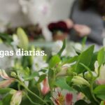 Menta y Canela Madrid: El sabor de la combinación perfecta en cada bocado