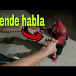 Menú del Mesón El Duende en Zamora con los mejores platos típicos