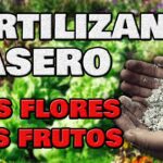 Mezclar abono de crecimiento y floración ¿sí o no?