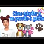 Obtén una mascota en Los Sims 4 pasos y consejos