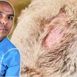 Ojos pelados en perros causas y tratamiento