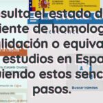 Opciones de Estudio para Graduados Escolares Antiguos Guía Completa