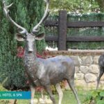 Opiniones del Hotel María Manuela: Todo lo que necesitas saber antes de reservar