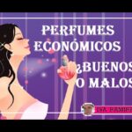 Opiniones divididas sobre la colección Mar de Rosas de Devota y Lomba