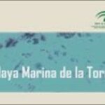 Opiniones sobre la playa de la Marina de la Torre