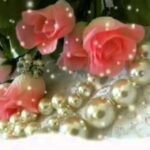 Palabras divinas para el corazón de la mujer: Las frases de Dios que inspiran y fortalecen