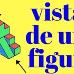 Partes laterales del cuerpo ¿qué se ve desde el frente?