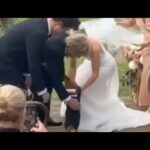 Perros de honor: la nueva tendencia de llevar anillos de boda en patitas peludas