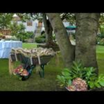 Planifica tu boda de ensueño en el Cenador de Amos
