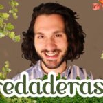 Plantas trepadoras para muros opciones y cómo elegirlas