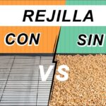 ¿Por qué mi periquito se posa en el suelo de la jaula?Guía para cuidar a tu ave doméstica