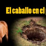 Pozo de los Caballos: Un oasis para equinos en medio del desierto