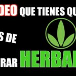 Precios de los productos de Herbalife: ¿son realmente accesibles?