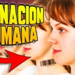 Prueba de ADN encubierta ¿Cómo realizarla sin ser detectado?