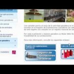 Real Decreto 804/2011 Normativa sobre prevención de riesgos laborales