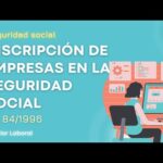 Real Decreto 84/1996 Contenido y detalles importantes para conocer
