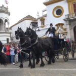 Recorriendo Sevilla a ritmo pausado en un coche de caballo