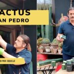 Registro de Propiedad de Arenas de San Pedro Guía Paso a Paso