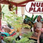 Reseñas de Finca El Jardín: descubre lo que opinan los huéspedes