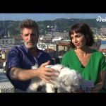 Restaurantes dog-friendly en Bizkaia: disfruta de la comida acompañado de tu mascota