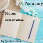 Rimas en rosas: poesía breve y dulce para enamorar