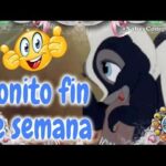 Risas aseguradas con estas divertidas frases para el fin de semana