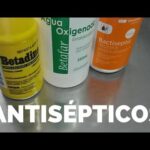 Seguridad de Betadine en aves Todo lo que necesitas saber