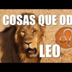 Señales de interés de un hombre Leo ¿cómo saber si le gustas?