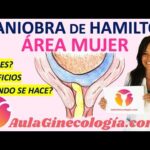 Señales de maniobra efectiva de Hamilton ¿cómo saber si funciona?