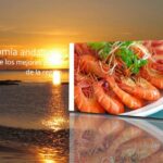 Servicio de catering en Sanlúcar de Barrameda para eventos de alto nivel